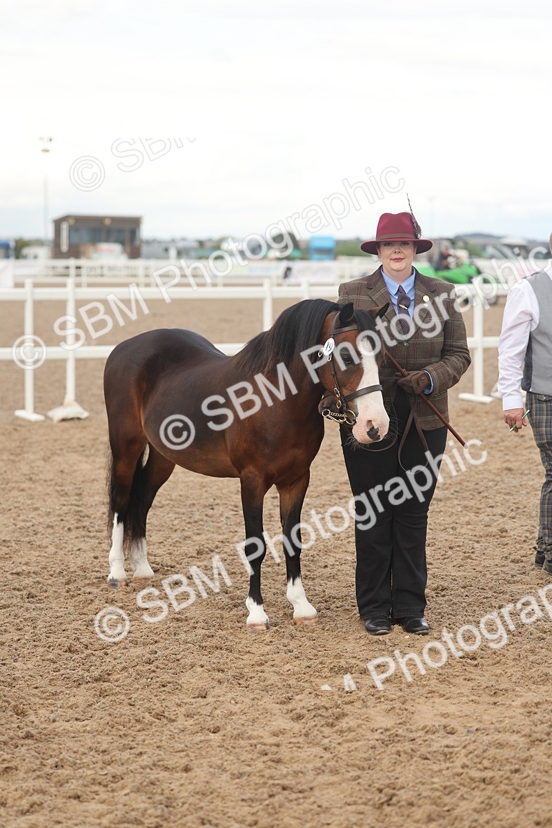 SBM_08520 - Class 29 - IH Veteran Pony