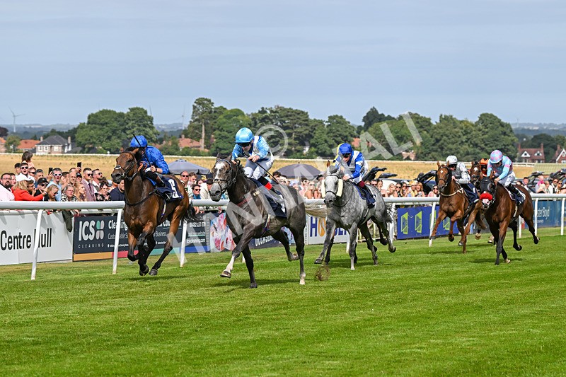 140824-Race 5-Havana Blue-6673 - Race 5