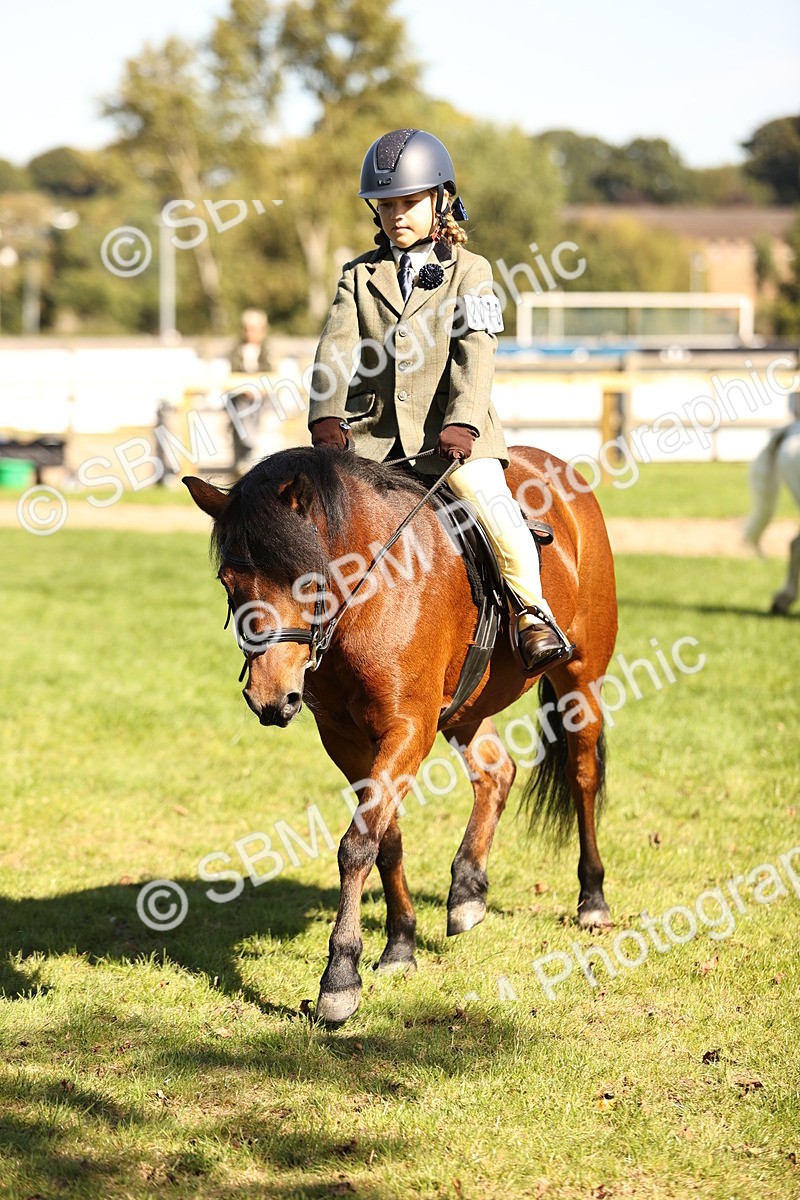 SBM_19260 - S3 - TSR Ridden Pony Showing