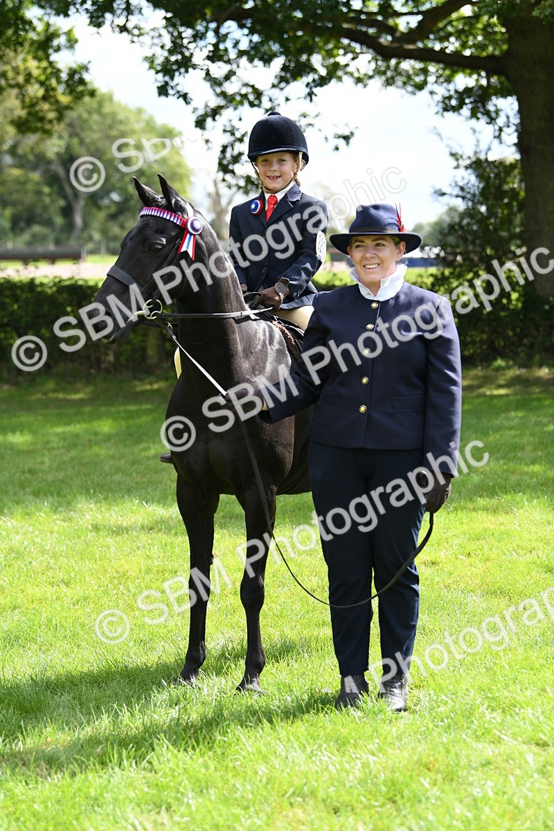 SBM_41185 - S19 - Lead Rein Show & Show Hunter Pony