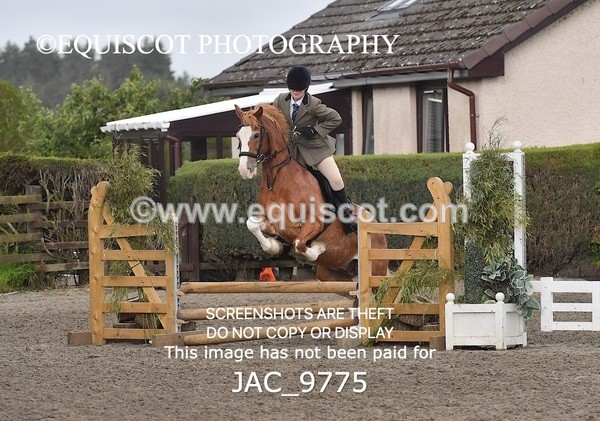 JAC_9775 - CLASS 2 Novice Working Hunter (0.60m - 0.70m)