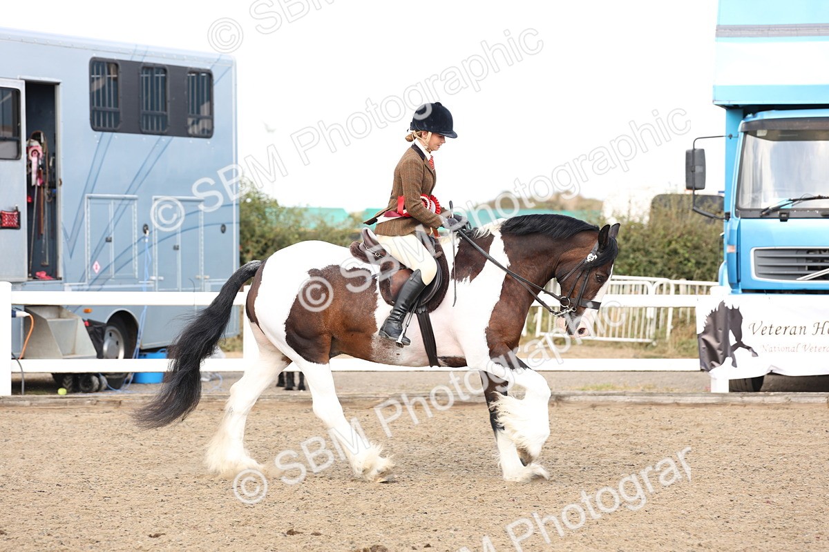 SBM_07423 - Class 58b -  Style & Performance - 70cm (20+)