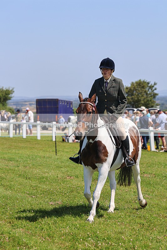 IMG_2508 - Class 38: Veteran Ridden