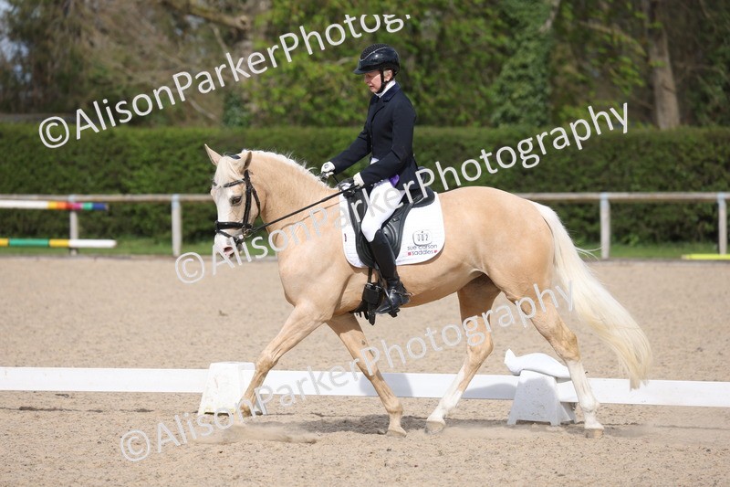 20260405-0200 - Class 3 - Novice 5