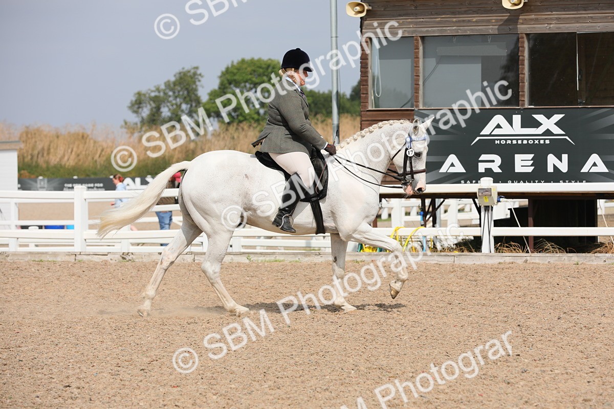 SBM_13383 - Class 308 Ridden Coloured Horse