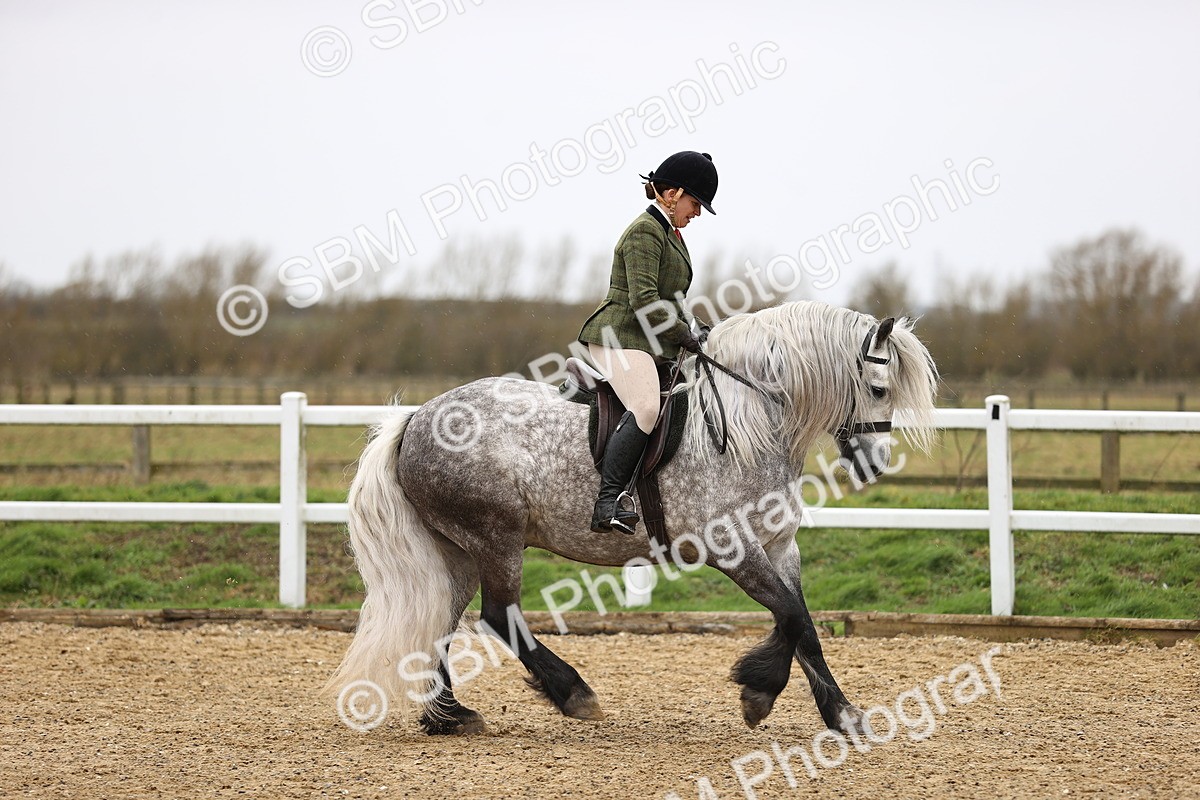 SBM_007512 - Class 31-32 - M&M Confined Novice Small-Large