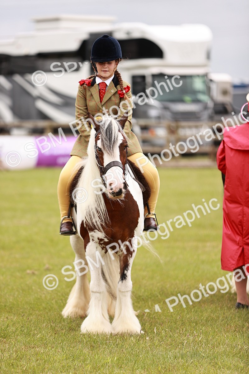 SBM_06246 - Class 39-41 TGCA In Hand and Ridden
