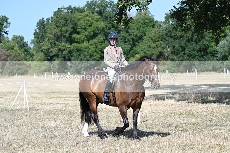 WJ7_3506 - Class 9 Mountain & Moorland Ridden