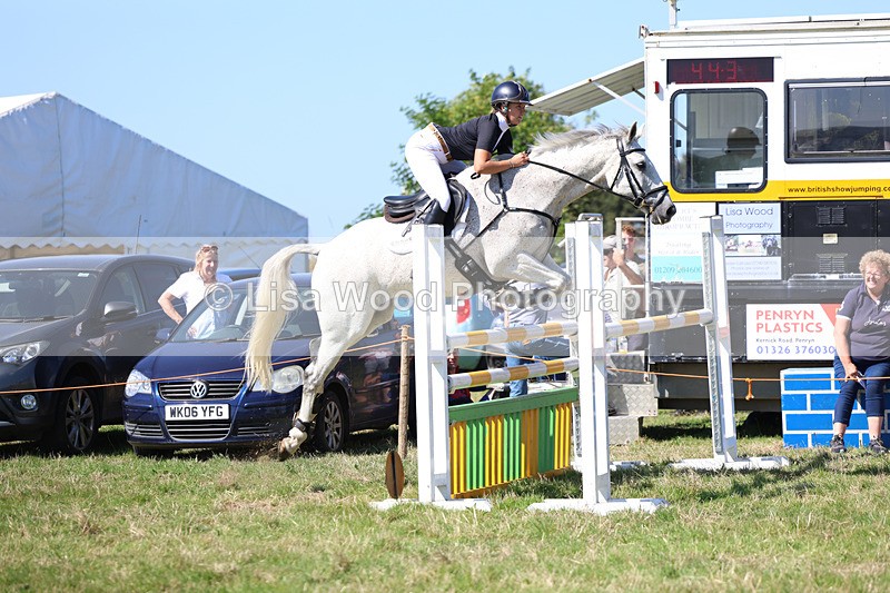 3E7A6393 - Class 13: Senior Newcomers/1.10m open