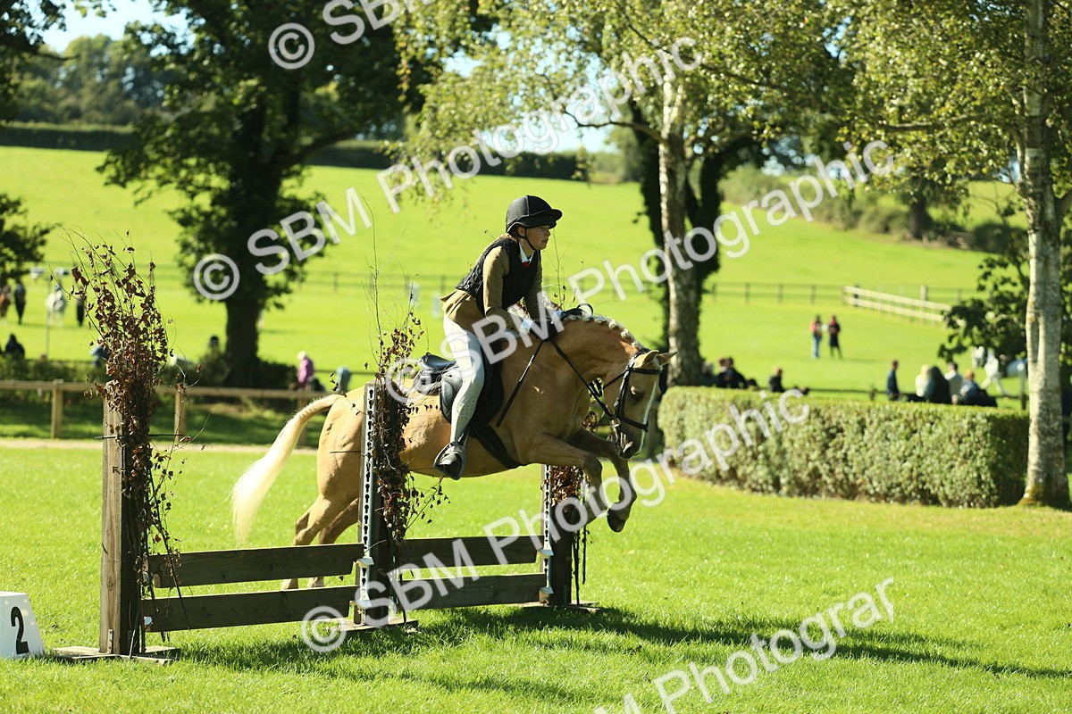 SBM_37477 - S29 - Novice & Newcomers Working Hunter Pony