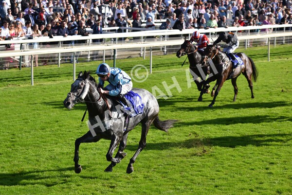 yr08102021r3-31 - Race 3 3.15pm Download The Casumo App Today Handicap