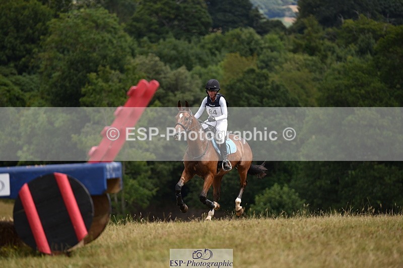 250802A-130812-04477 - B-084-Joanna.L.Dyer-BONAFIDE.ELUSION