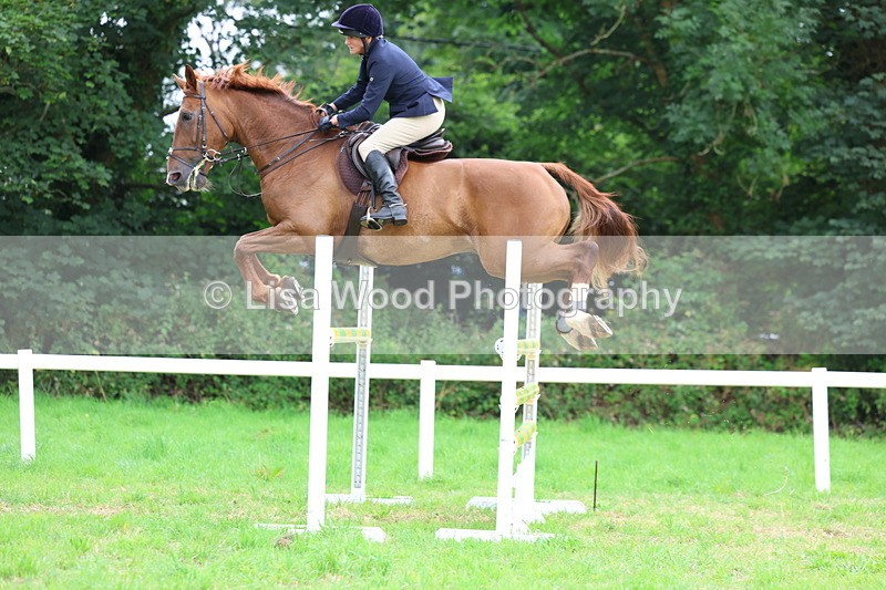 3E7A8593 - Class 8: Senior Foxhunter/1.20m open