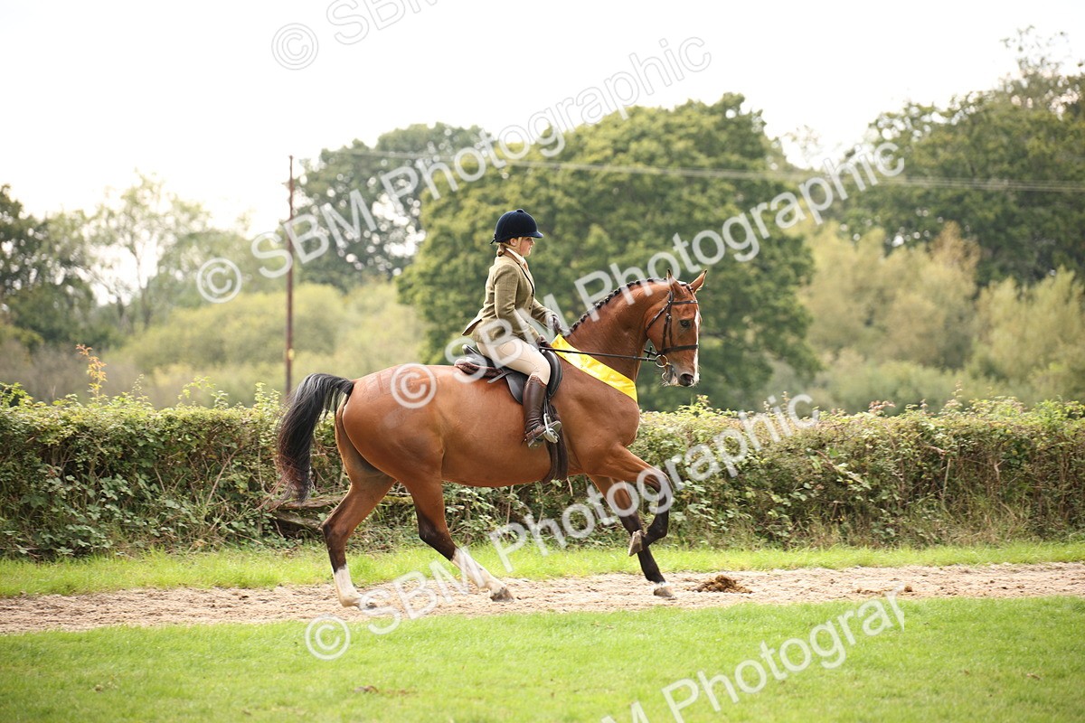 SBM_73633 - Ridden Horse Supreme Championship