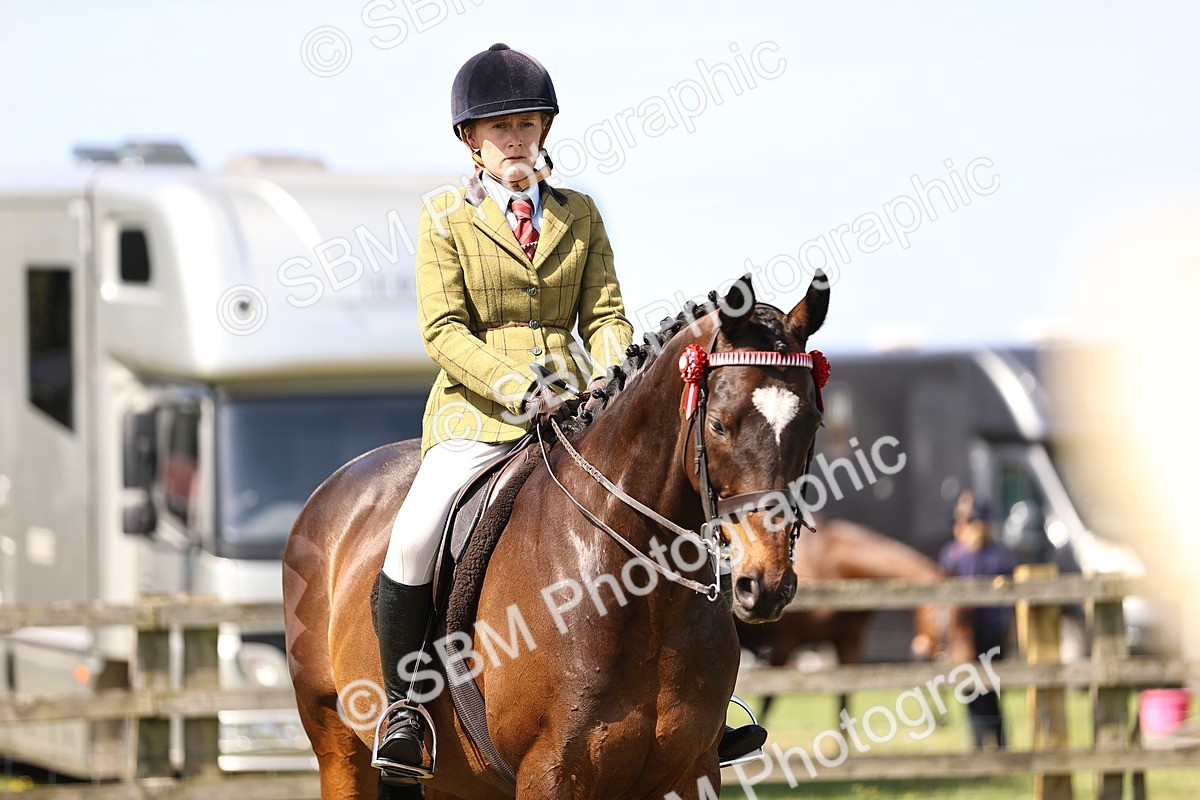 SBM_13038 - Class 75-76 LIHS BSHA Rising Star Hack Riding Horse