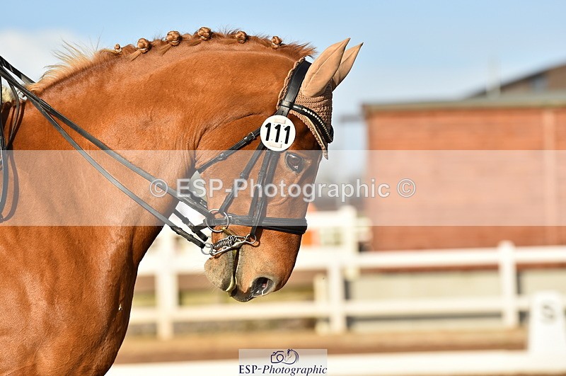 231104A-134548-01911 - Cls 10 Medium 61