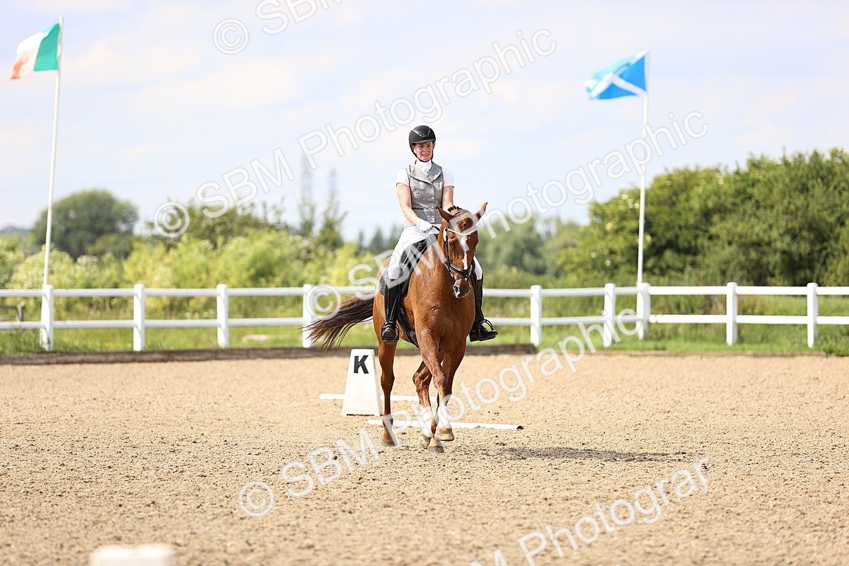 SBM_002217 - Class 7 - Medium 3