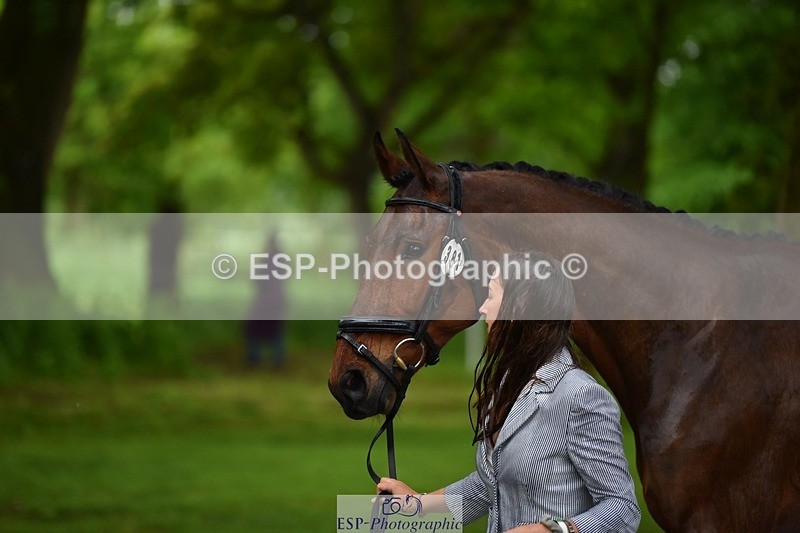 240522-153638-00475 - 381-MADFORD_LAW-Anna_Johannson