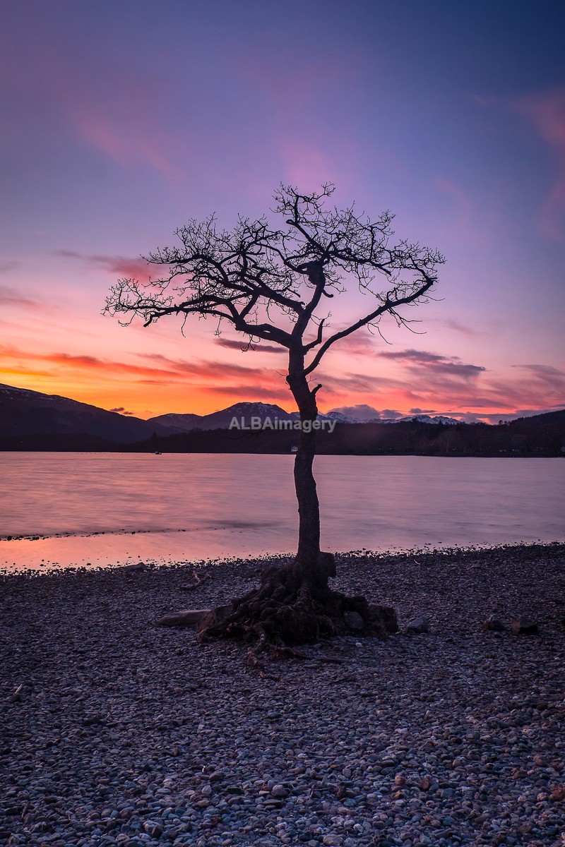 Milarrochy Bay - My Scotland - The Landscapes