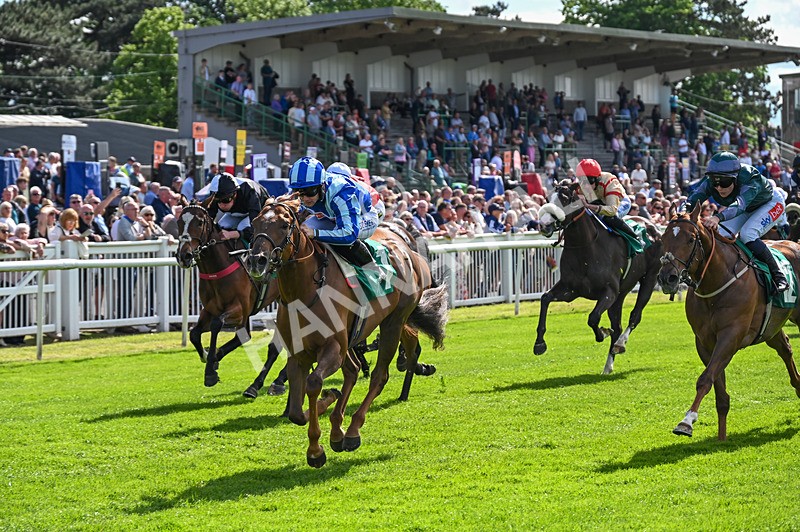310526-Race 2-Dazzling Haze-8409 - Race 2 16.15pm Flutter Proud To Support Young Lives Vs Cancer Handicap