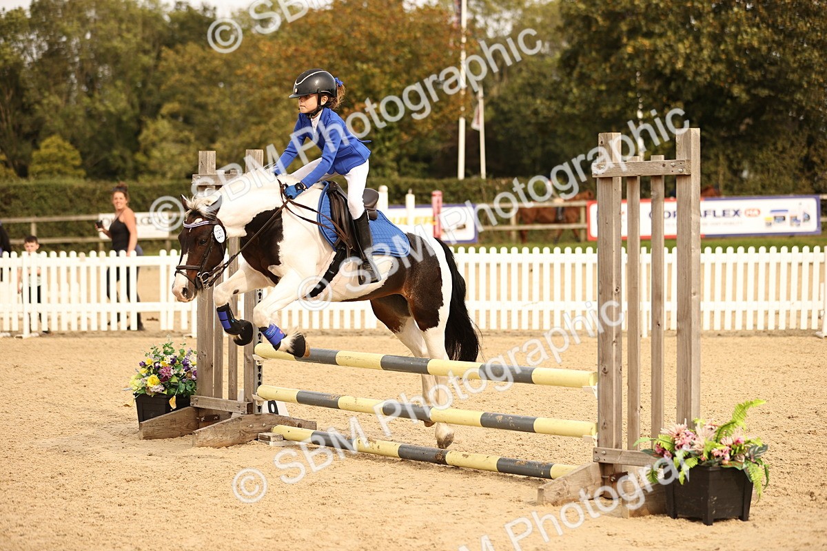 SBM_70813 - J13 - Junior Pony 60cm Championship