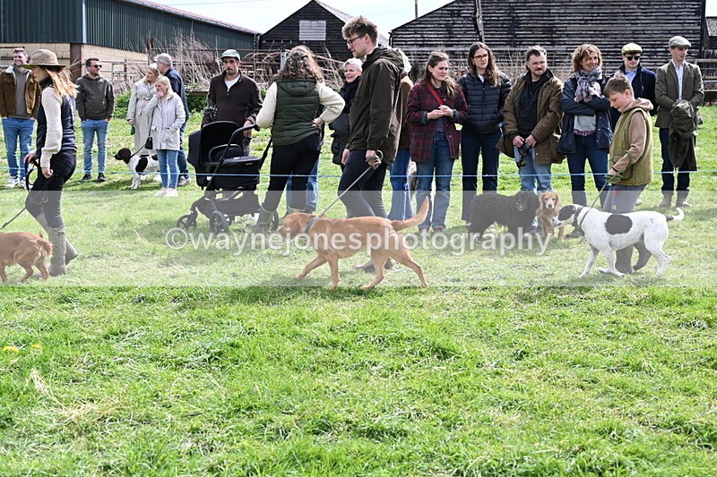 WJ6_8233 - Class 4 Prettiest Bitch