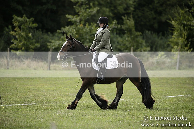 BVR080918 92 - BVRC Novice Dressage & CR 08/09/18