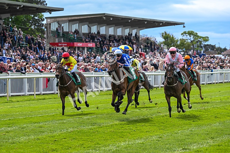 160526-Race 2-Kodi Bear Light-9299 - Race 2 2.23pm Marion Gibson Brown Memorial - Irish EBF Restricted Maiden Fillies' Stakes (Div II)