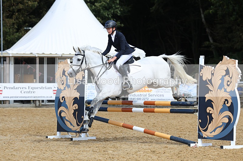 3E7A9197 - Class 9: Senior British Novice/90cm open