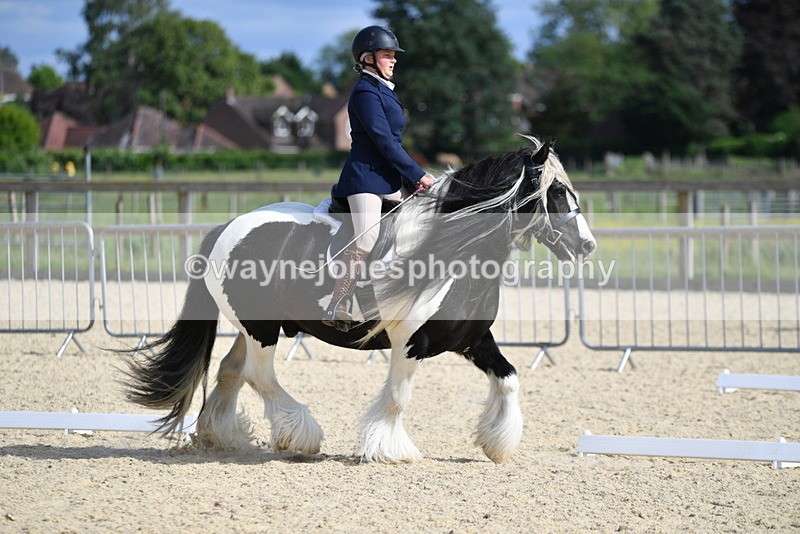 WJ5_7727 - Time 16:40 to 16:55