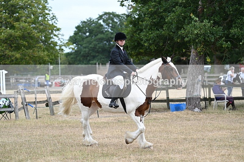 WJ7_1361 - Class 8 Ridden Veterans