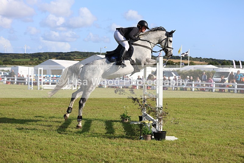 3E7A4478 - Class C: Showjumping Senior Foxhunter