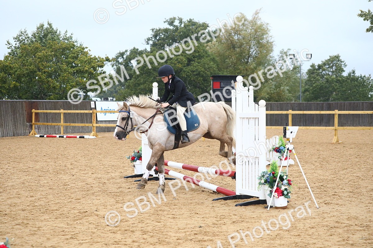 SBM_71577 - J4 - Mini Tour Junior Pony 45cm Championship