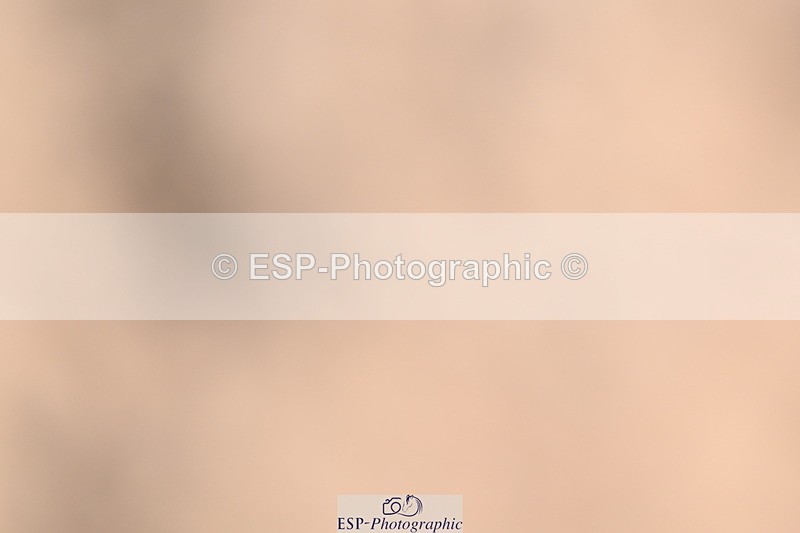 240622A-090855-06712 - Cls 23 BD Prelim 19