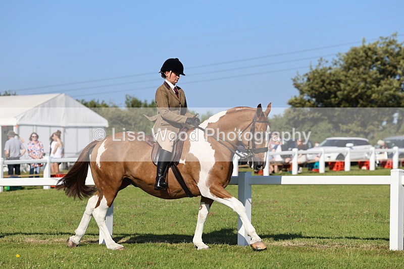 IMG_1422 - Class 29:  Ridden Native/Trad Coloured Horse