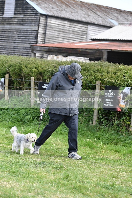 WJ5_0779 - Best in Show Championship