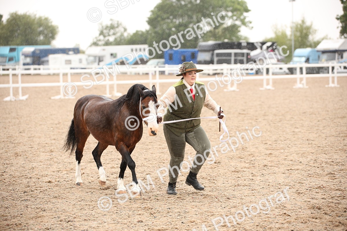SBM_20254 - Class 704 - IH Rescue