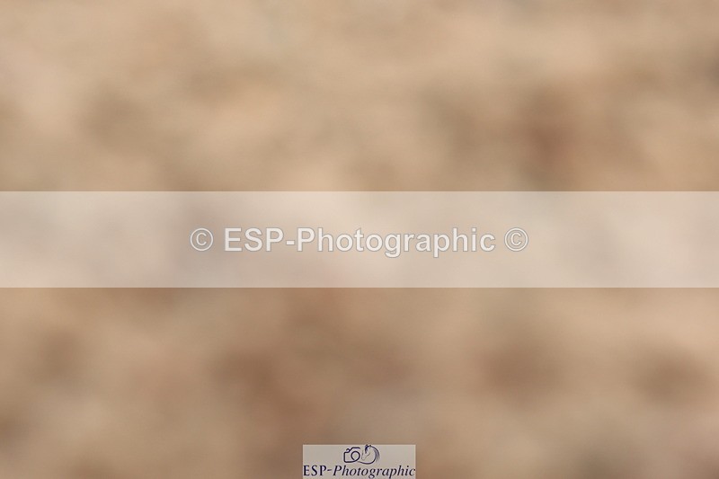 240622A-094149-07865 - Cls 26 BD Novice 22