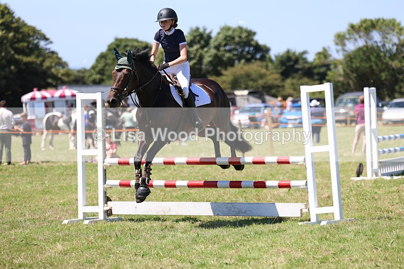 3E7A5530 - Class 9: Senior British Novice/90cm open