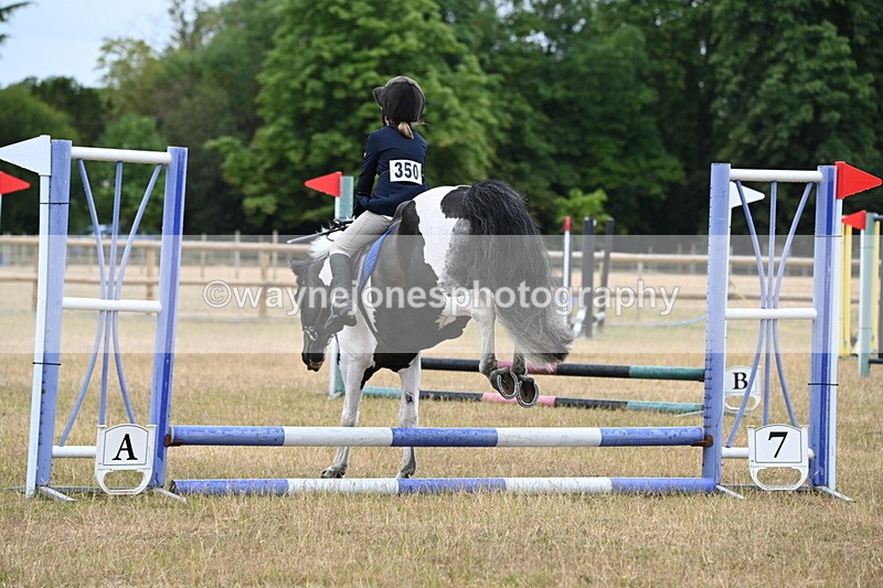 WJ6_9381 - Class 12 Minimus Jumping 45cm