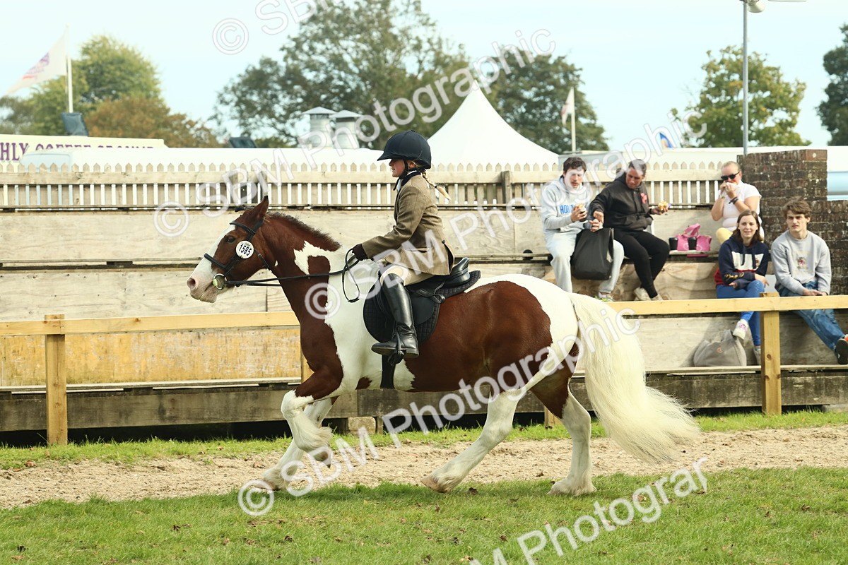 SBM_68241 - S58 - Mini Show Cob Ridden