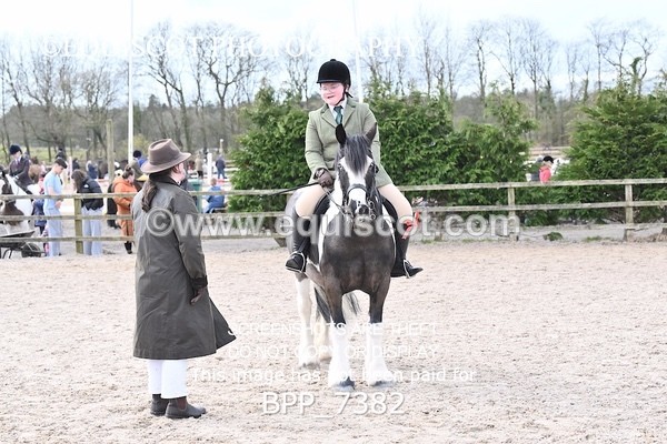 BPP_7382 - RING 1  (RIDDEN HORSES / IN HAND / VETERAN ETC)