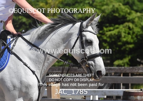 JAC_1785 - CLASS 5  Senior Newcomers/ 1.10m Open