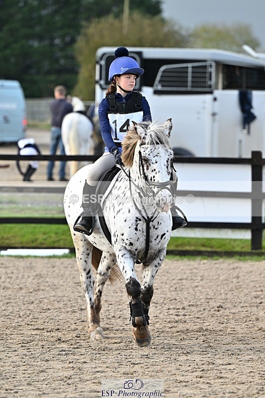 241110-132954-00851 - 60-65cm Arena Eventing