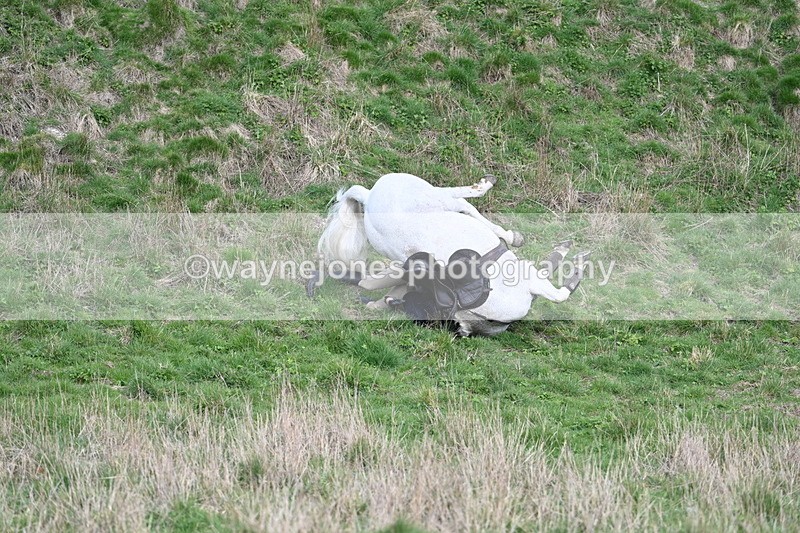 WJ7_7913 - Jo Ramage
