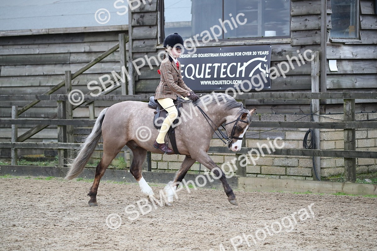 SBM_005912 - Class 10-13 - RIHS Small Large Breeds