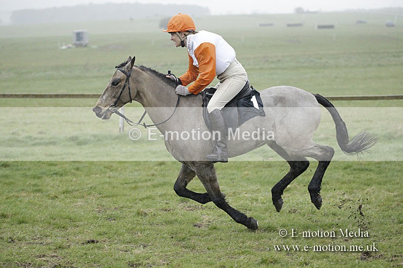 PtP 150320 0090 - New Forest Point-to-Point Larkhill 15/03/20