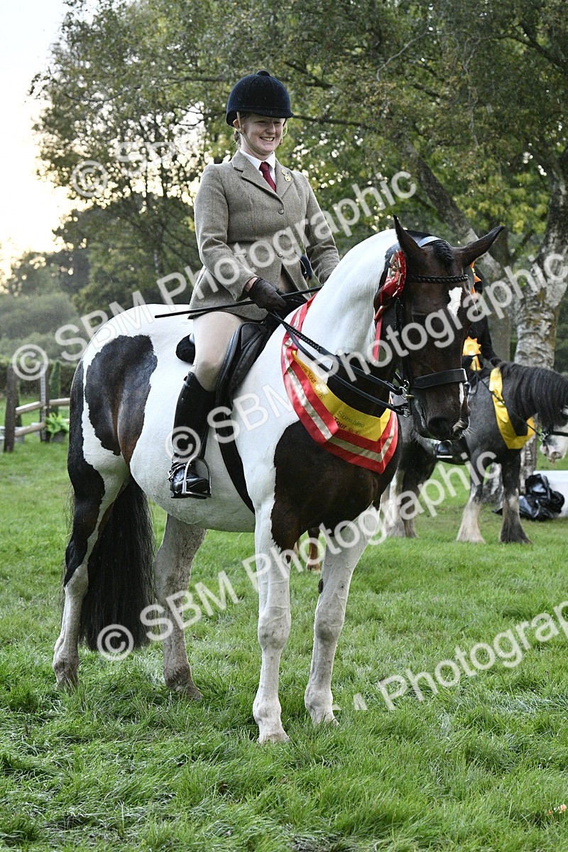 SBM_53337 - S14 - Riding Club Horse
