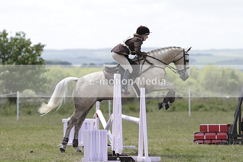 BVHT 140517 N-365 - Class 2 SJ Novice 14/05/17