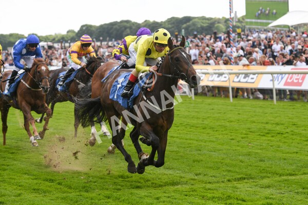 yr11062022r6-25 - Race 6 4.15pm Reg Griffin Appreciation EBFstallions.com Maiden Stakes